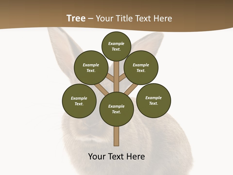 Furry Rodent Bunny PowerPoint Template