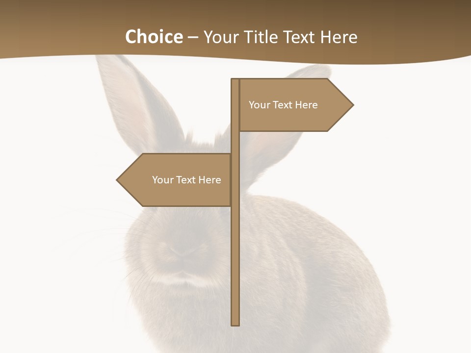 Furry Rodent Bunny PowerPoint Template