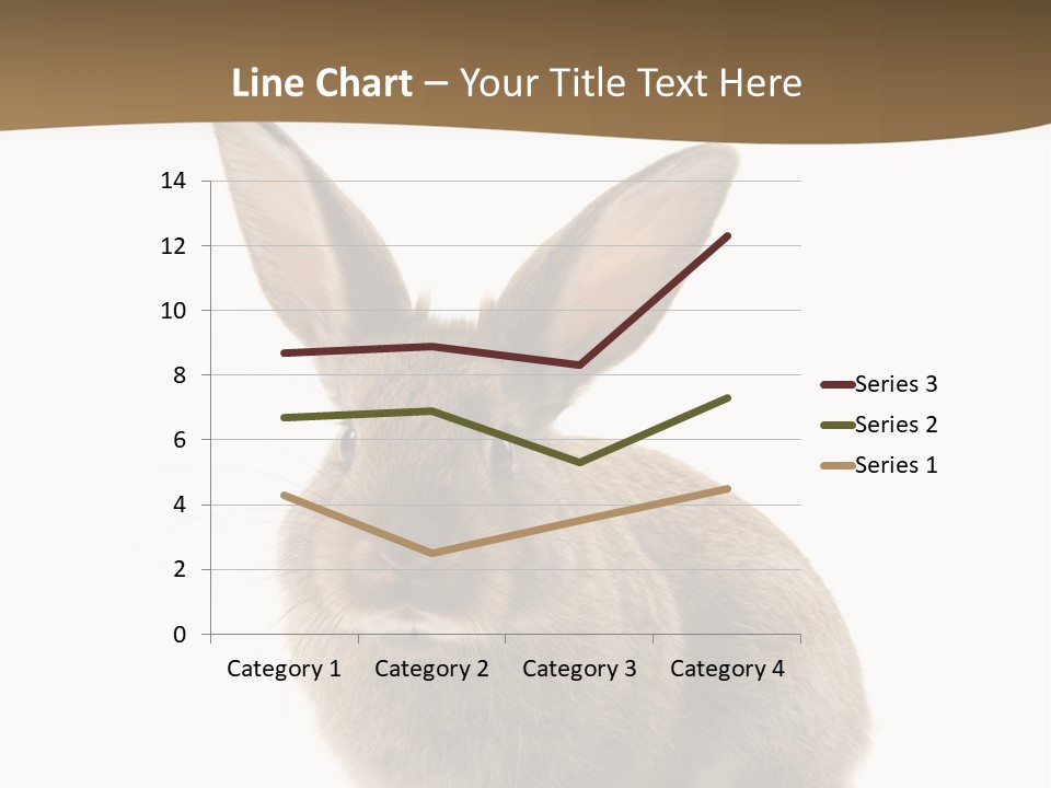 Furry Rodent Bunny PowerPoint Template