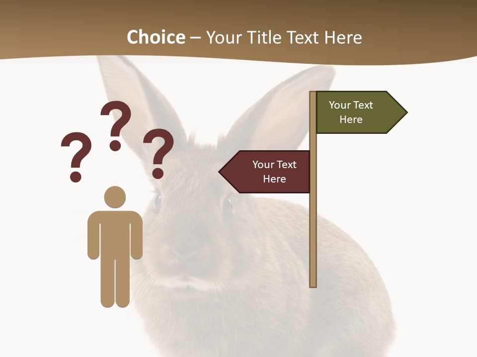 Furry Rodent Bunny PowerPoint Template