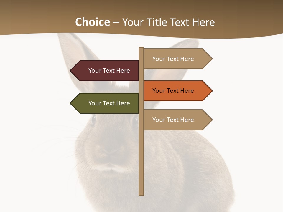 Furry Rodent Bunny PowerPoint Template