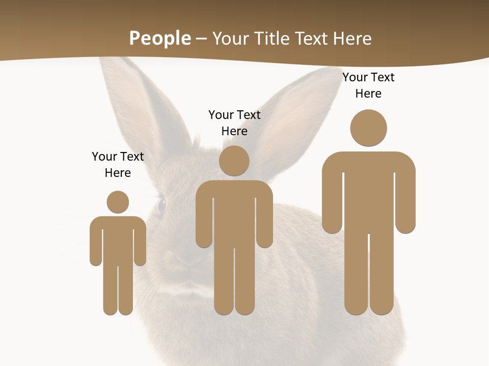 Furry Rodent Bunny PowerPoint Template