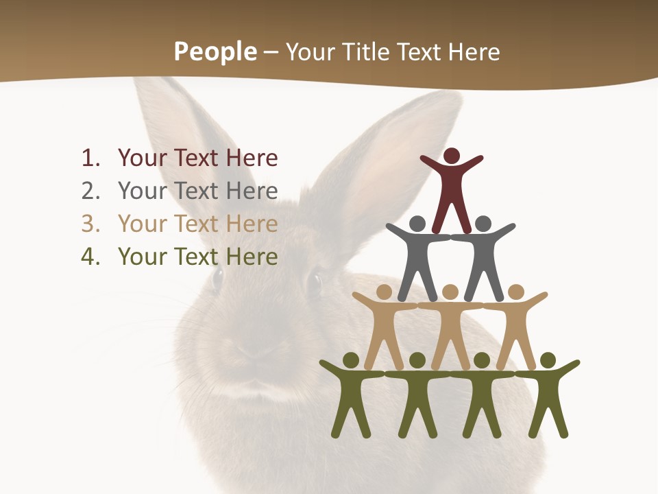 Furry Rodent Bunny PowerPoint Template