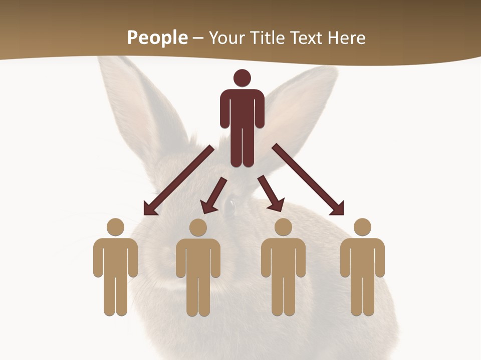 Furry Rodent Bunny PowerPoint Template