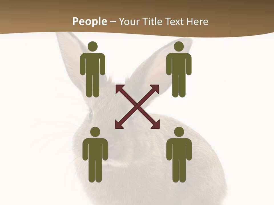 Furry Rodent Bunny PowerPoint Template