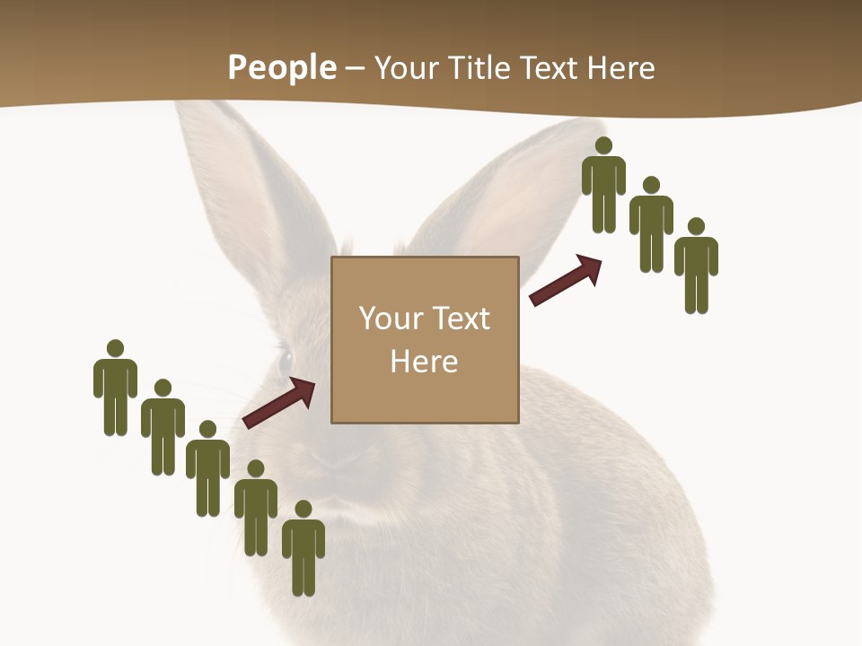 Furry Rodent Bunny PowerPoint Template