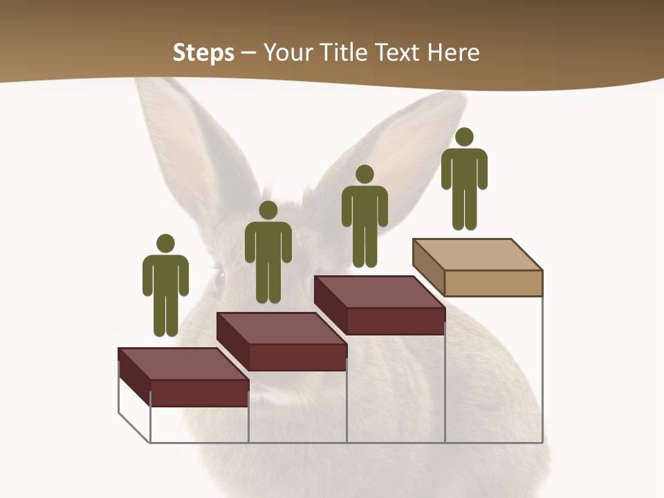 Furry Rodent Bunny PowerPoint Template