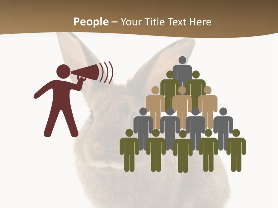 Furry Rodent Bunny PowerPoint Template