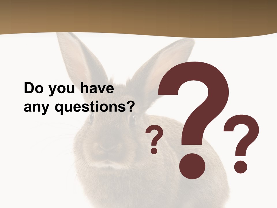 Furry Rodent Bunny PowerPoint Template