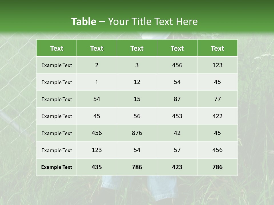 Jeans Face Denim PowerPoint Template