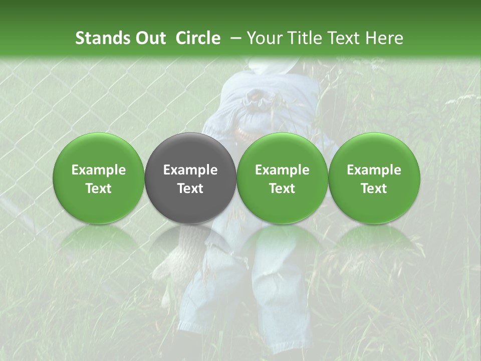 Jeans Face Denim PowerPoint Template