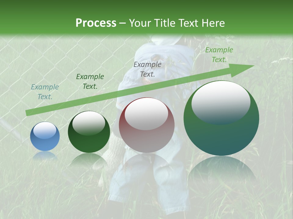 Jeans Face Denim PowerPoint Template