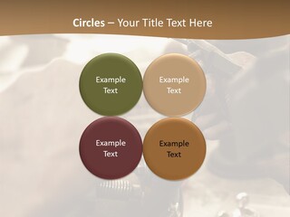 Workshop Jewels Pricey PowerPoint Template