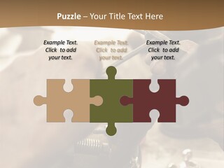 Workshop Jewels Pricey PowerPoint Template