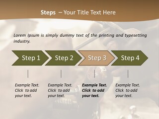 Workshop Jewels Pricey PowerPoint Template