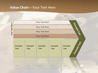 Workshop Jewels Pricey PowerPoint Template