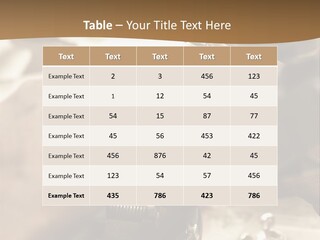 Workshop Jewels Pricey PowerPoint Template