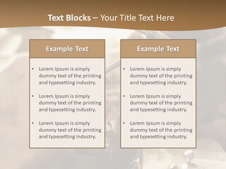 Workshop Jewels Pricey PowerPoint Template