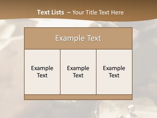 Workshop Jewels Pricey PowerPoint Template