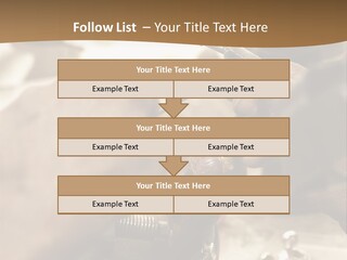 Workshop Jewels Pricey PowerPoint Template