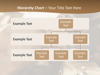 Workshop Jewels Pricey PowerPoint Template