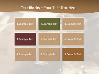 Workshop Jewels Pricey PowerPoint Template