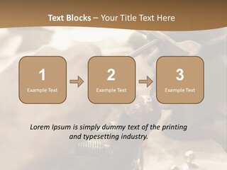 Workshop Jewels Pricey PowerPoint Template