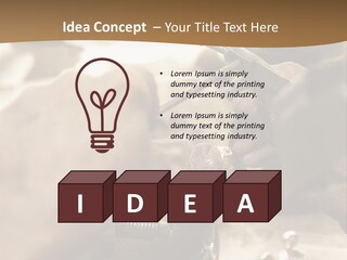 Workshop Jewels Pricey PowerPoint Template