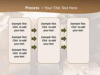 Workshop Jewels Pricey PowerPoint Template