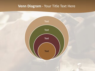 Workshop Jewels Pricey PowerPoint Template