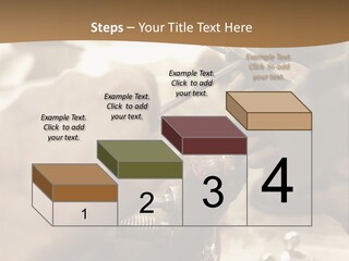 Workshop Jewels Pricey PowerPoint Template