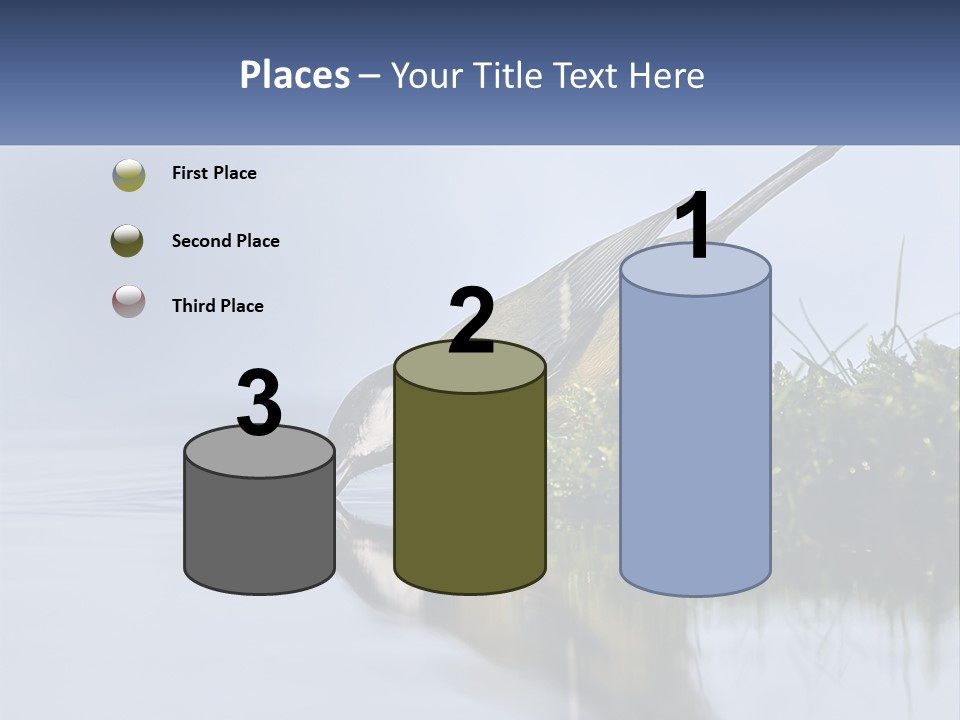 Small Ornithologist Tits PowerPoint Template