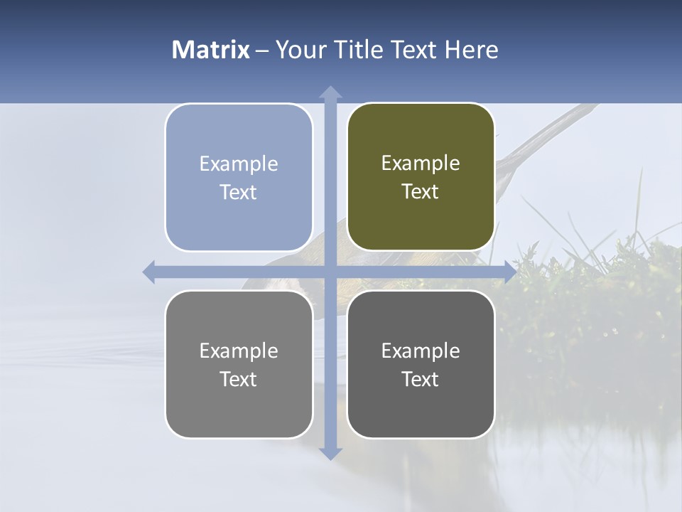 Small Ornithologist Tits PowerPoint Template