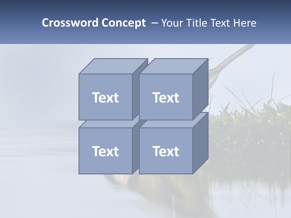 Small Ornithologist Tits PowerPoint Template