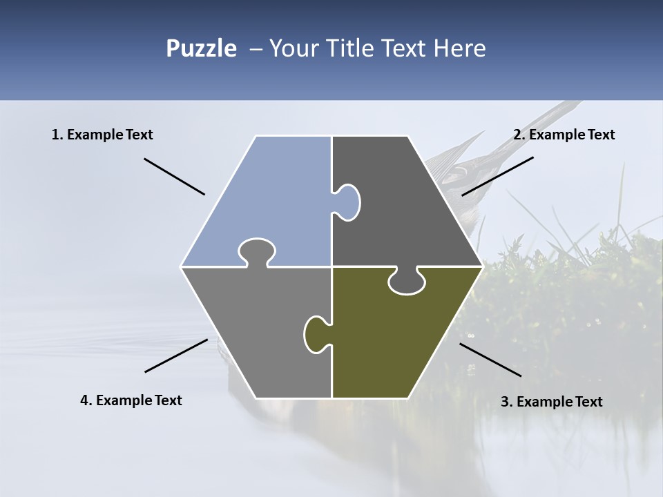 Small Ornithologist Tits PowerPoint Template