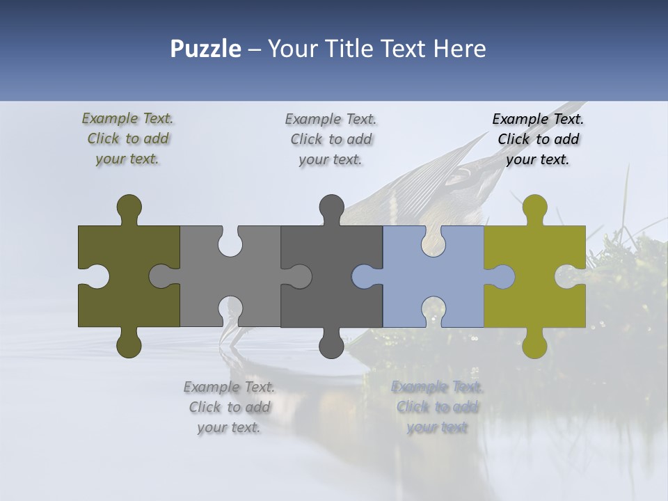 Small Ornithologist Tits PowerPoint Template