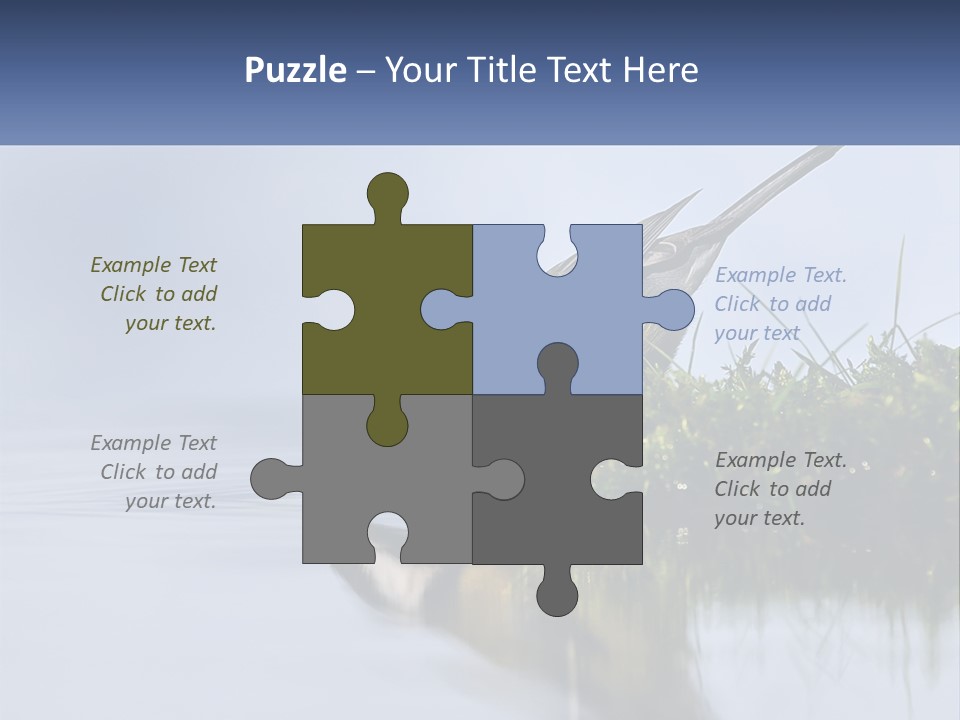 Small Ornithologist Tits PowerPoint Template