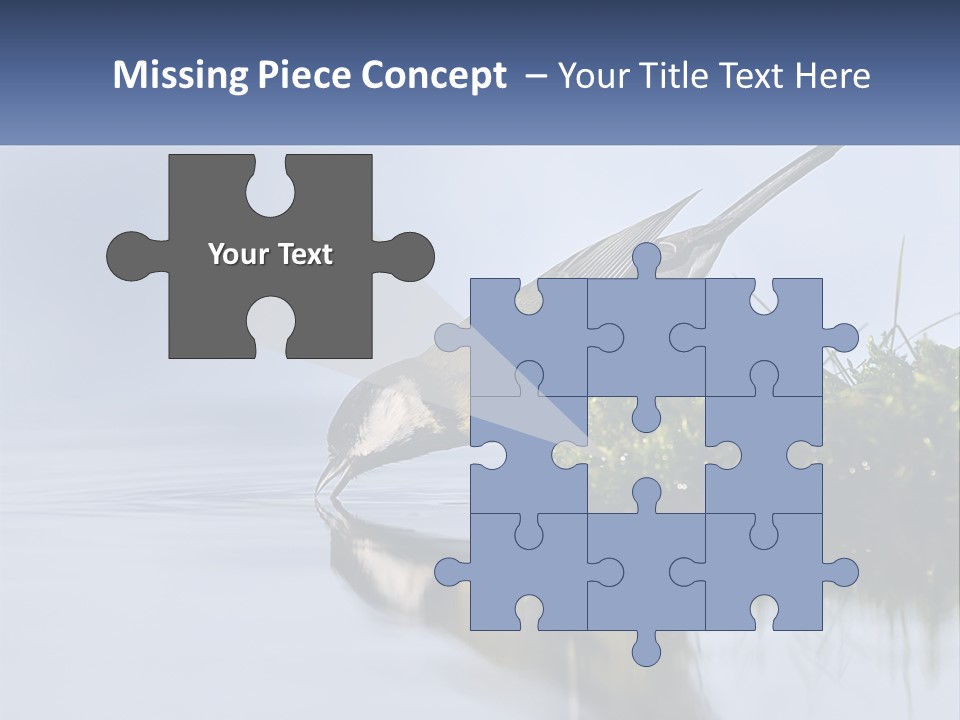 Small Ornithologist Tits PowerPoint Template