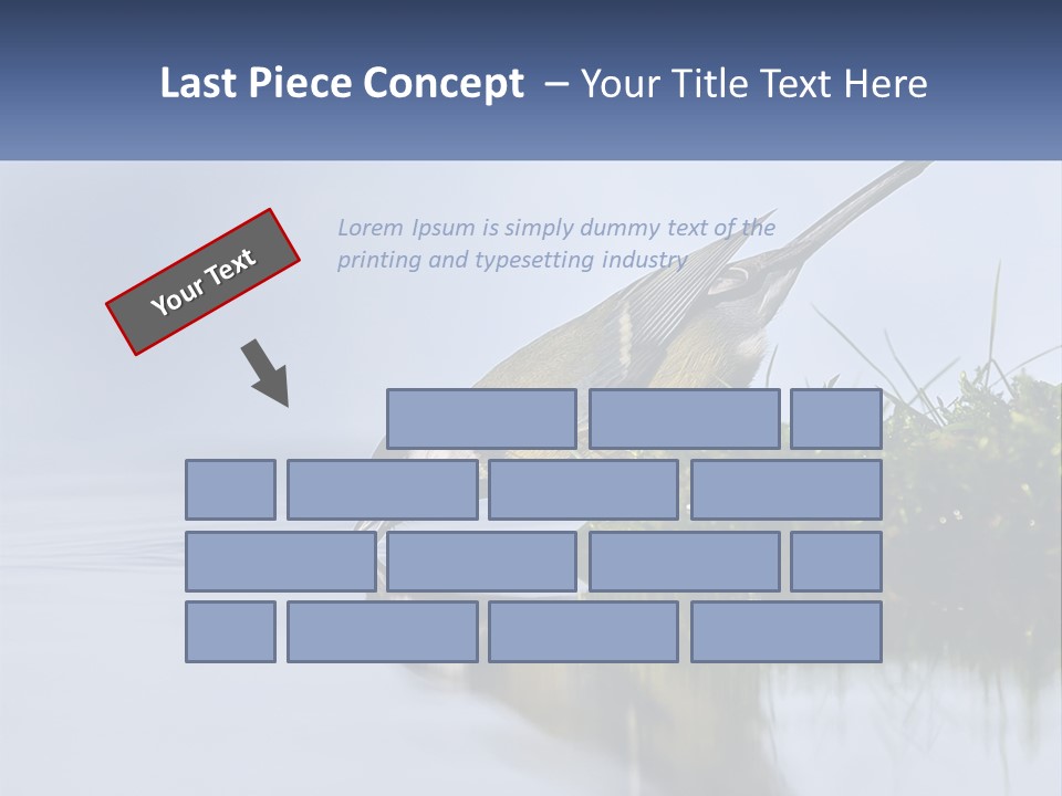 Small Ornithologist Tits PowerPoint Template