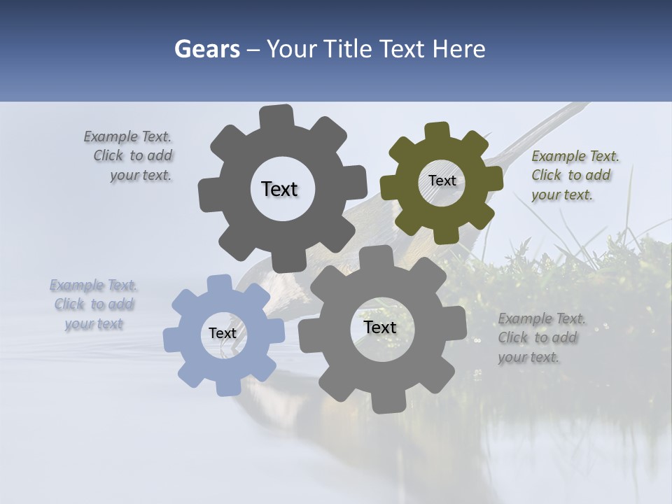 Small Ornithologist Tits PowerPoint Template