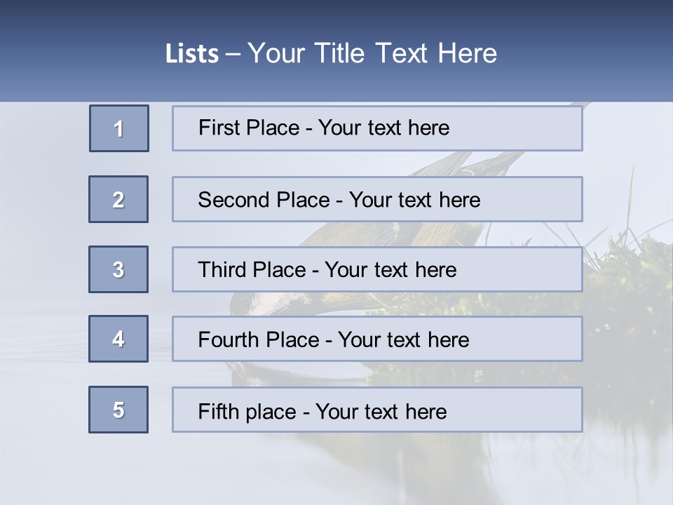 Small Ornithologist Tits PowerPoint Template