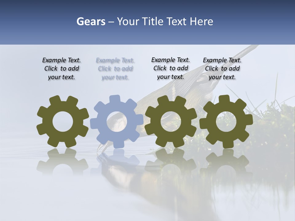 Small Ornithologist Tits PowerPoint Template