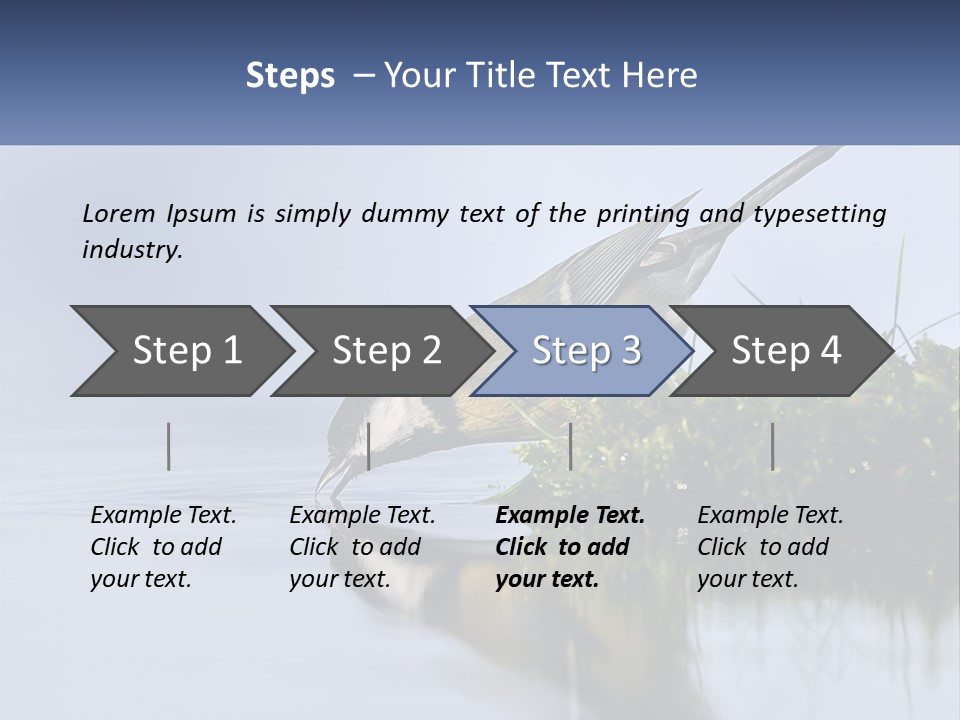 Small Ornithologist Tits PowerPoint Template