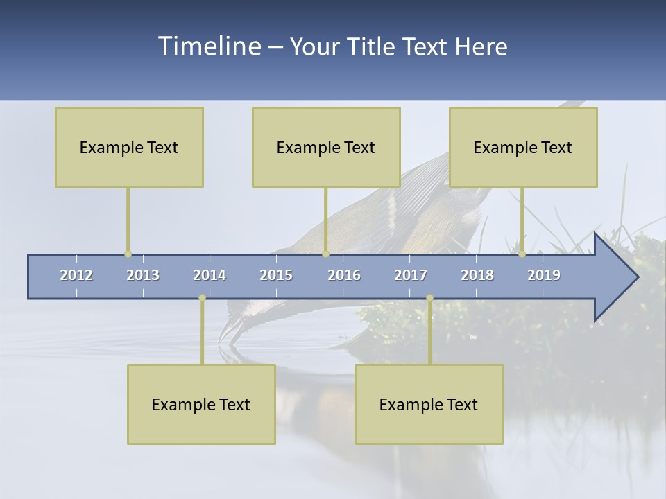 Small Ornithologist Tits PowerPoint Template