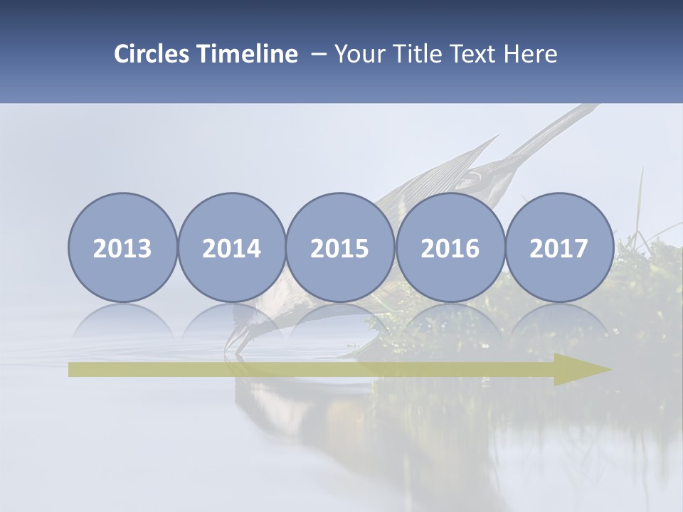 Small Ornithologist Tits PowerPoint Template