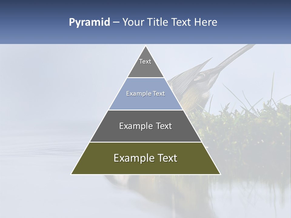 Small Ornithologist Tits PowerPoint Template