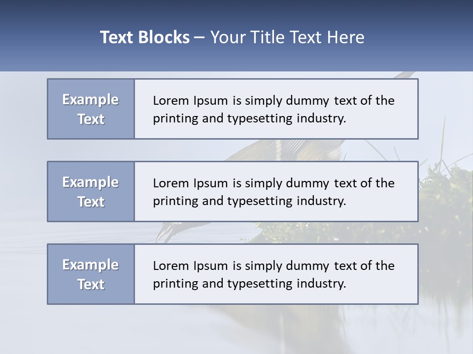 Small Ornithologist Tits PowerPoint Template