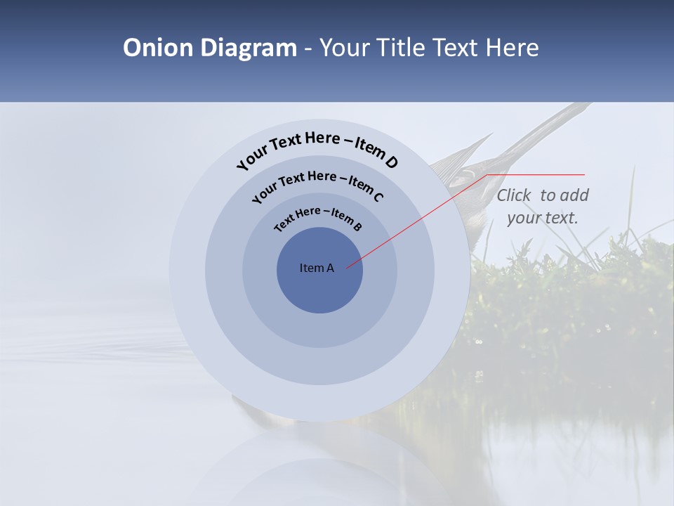 Small Ornithologist Tits PowerPoint Template