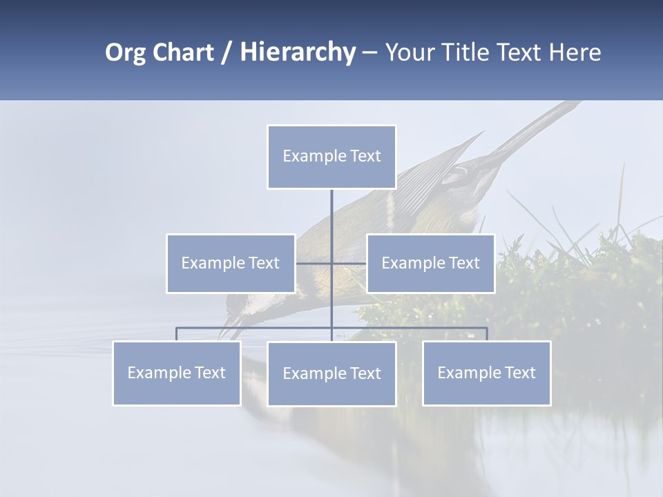 Small Ornithologist Tits PowerPoint Template
