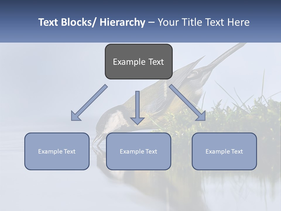 Small Ornithologist Tits PowerPoint Template